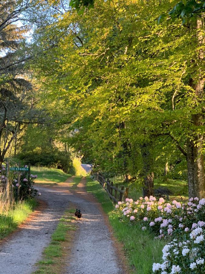 Campsite Glentruim And Glamping Pods *